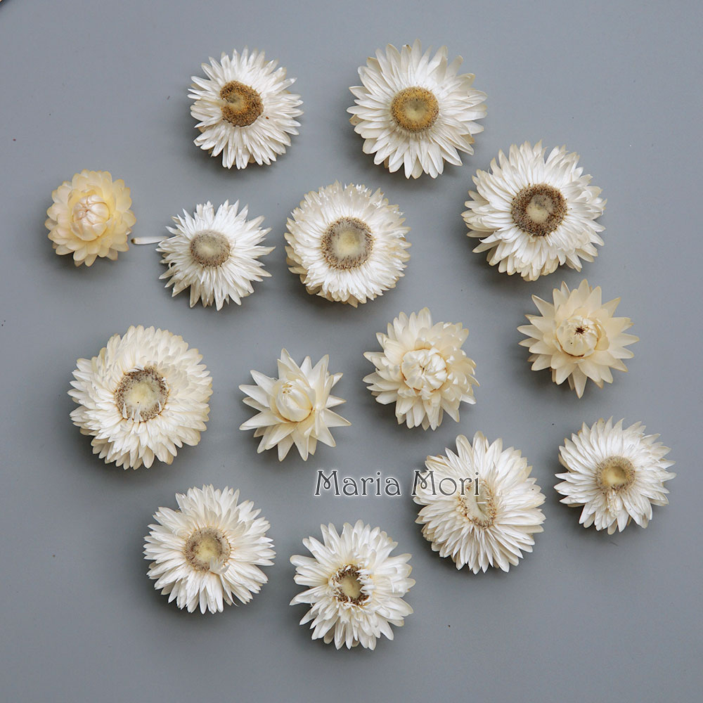 เครื่องประดับผมแฮนด์เมดทำจากพว - Holiday Candle Set บทวิจารณ์และราคา