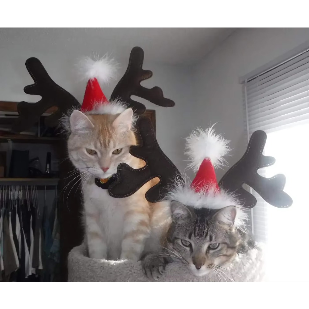 ที่คาดผมเขากวางเรนเดียร์คริสต์ - Reindeer Antlers Headband บทวิจารณ์และราคา